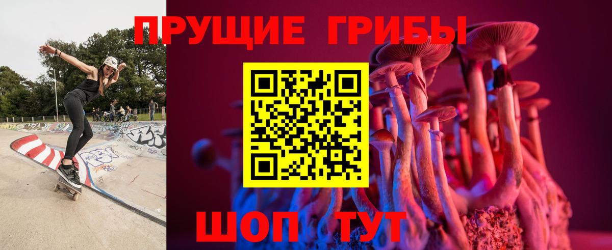 Псилоцибиновые грибы Psilocybe Семёнов